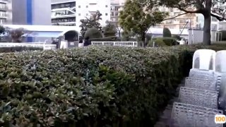 漂亮的保姆中文版 - BD电影完整版在线观看